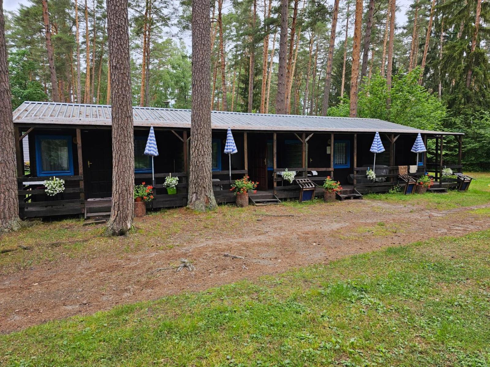 Osrodek Wypoczynkowy Warmia Villa Butryny Bagian luar foto