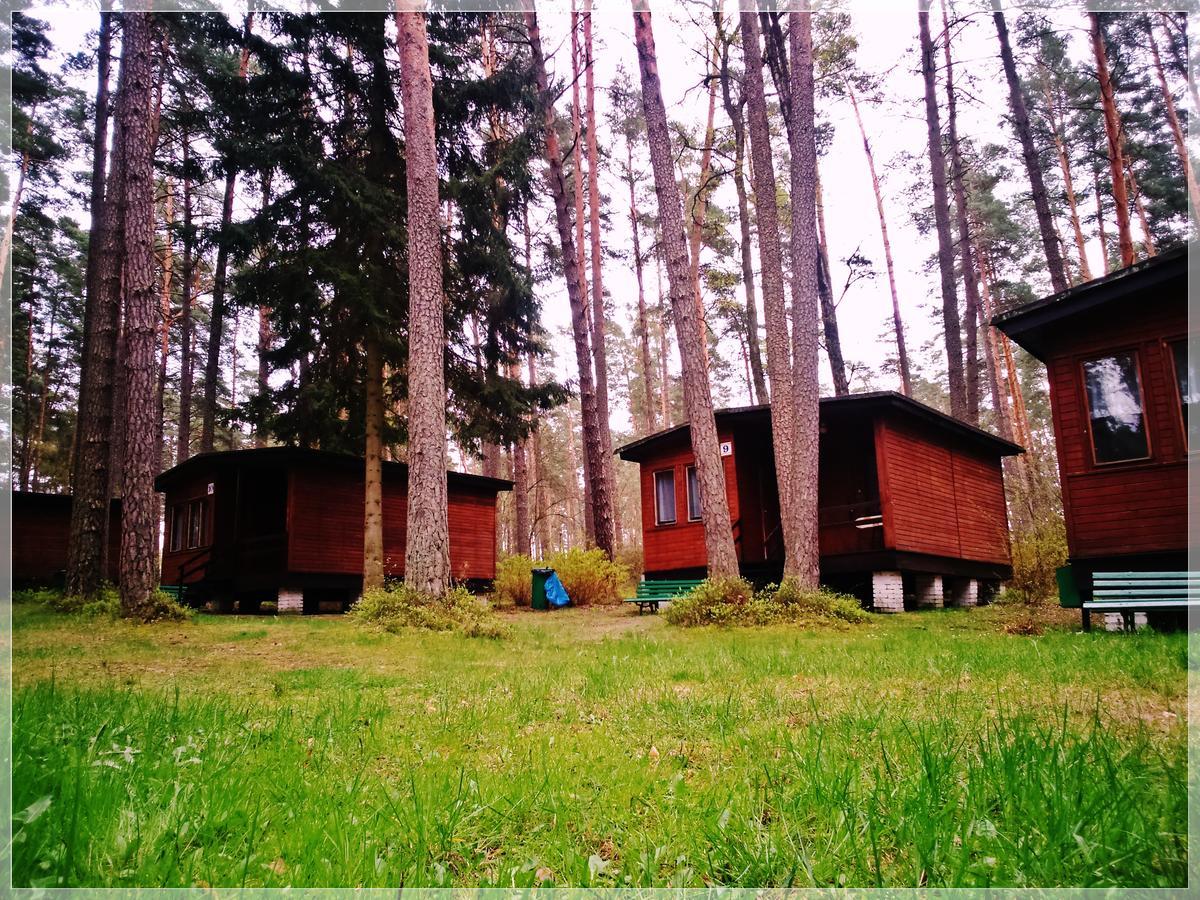 Osrodek Wypoczynkowy Warmia Villa Butryny Bagian luar foto